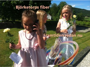 Bjorketorps-fiber-131030
